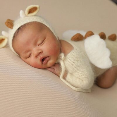 A peaceful newborn dressed in a cute crocheted animal costume, sleeping soundly.